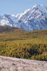 Similar image 20972456