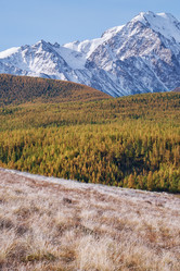 Similar image 20972457