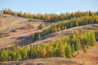 Similar image 20972461