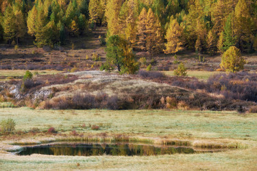 Similar image 20972463