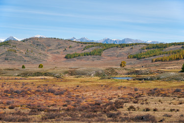 Similar image 20972464