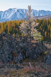 Similar image 20972468