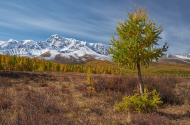 Similar image 20972471