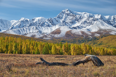 Similar image 20972472