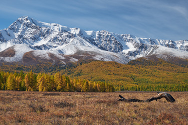 Similar image 20972473