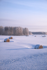 Similar image 20972566