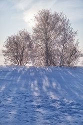 Similar image 20972568