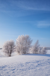 Similar image 20972573