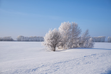 Similar image 20972574