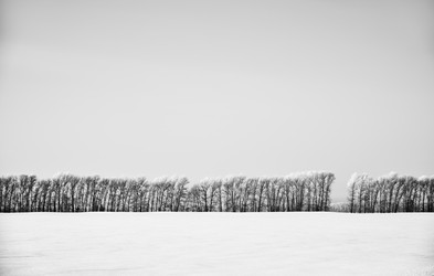 Similar image 20972575