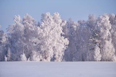 Similar image 20972578