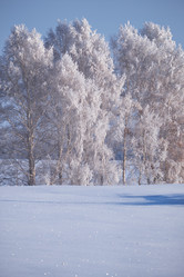 Similar image 20972579