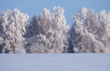 Similar image 20972581