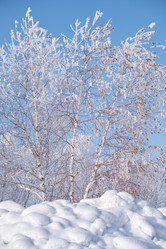 Similar image 20972582