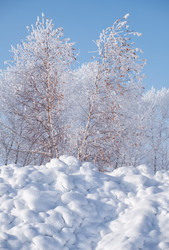 Similar image 20972583