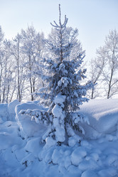 Similar image 20972584