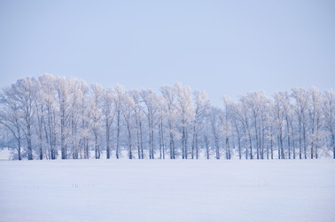 Similar image 20972585