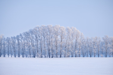 Similar image 20972586