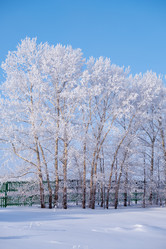 Similar image 20972691