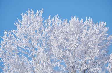 Similar image 20972692