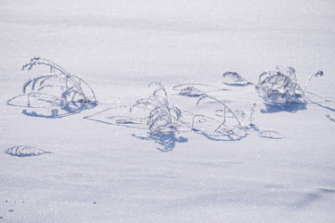 Similar image 20972695