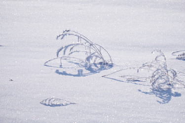 Similar image 20972696