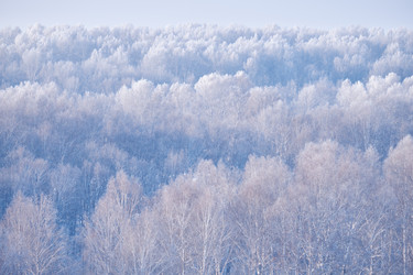 Similar image 20972697