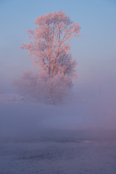 Similar image 20972704