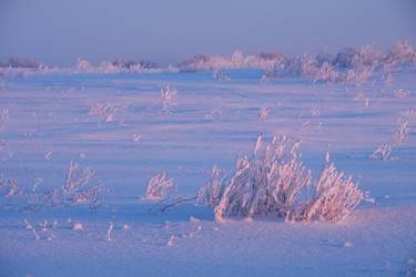 Similar image 20972706