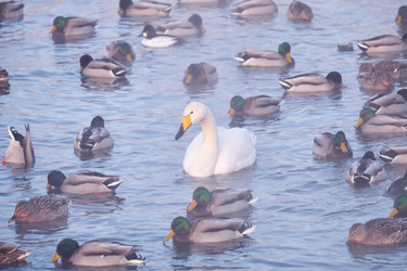 Similar image 20975723