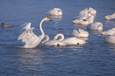 Similar image 20975726