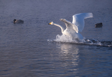 Similar image 20975727