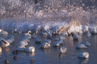 Similar image 20975728