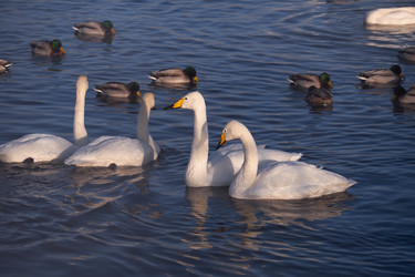 Similar image 20975790