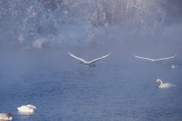 Similar image 20976053