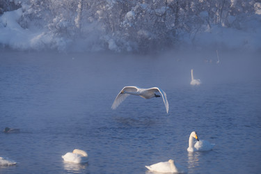 Similar image 20976054