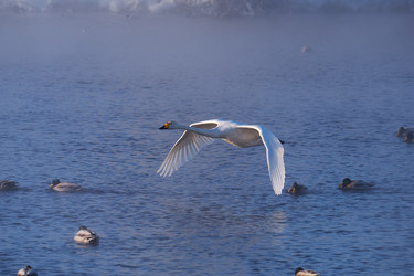 Similar image 20976068