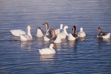 Similar image 20976683