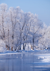 Similar image 20976798