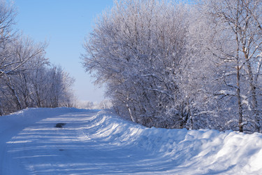 Similar image 20976800