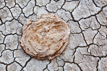 Similar image 20976801