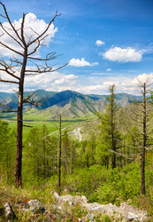 Similar image 20976804