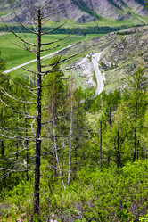 Similar image 20976805