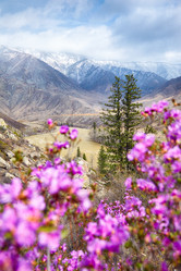 Similar image 20976838