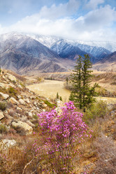 Similar image 20976839