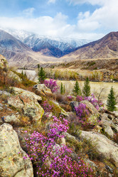 Similar image 20976840