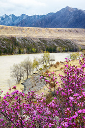 Similar image 20976841