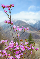 Similar image 20976842