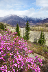 Similar image 20976852