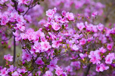 Similar image 20972477